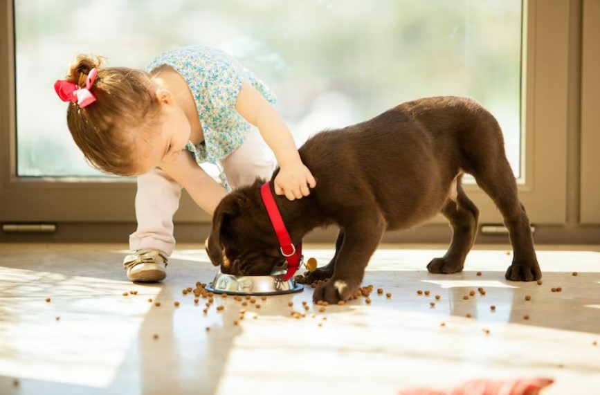 How To Help Your Kids Learn To Care for New Puppies